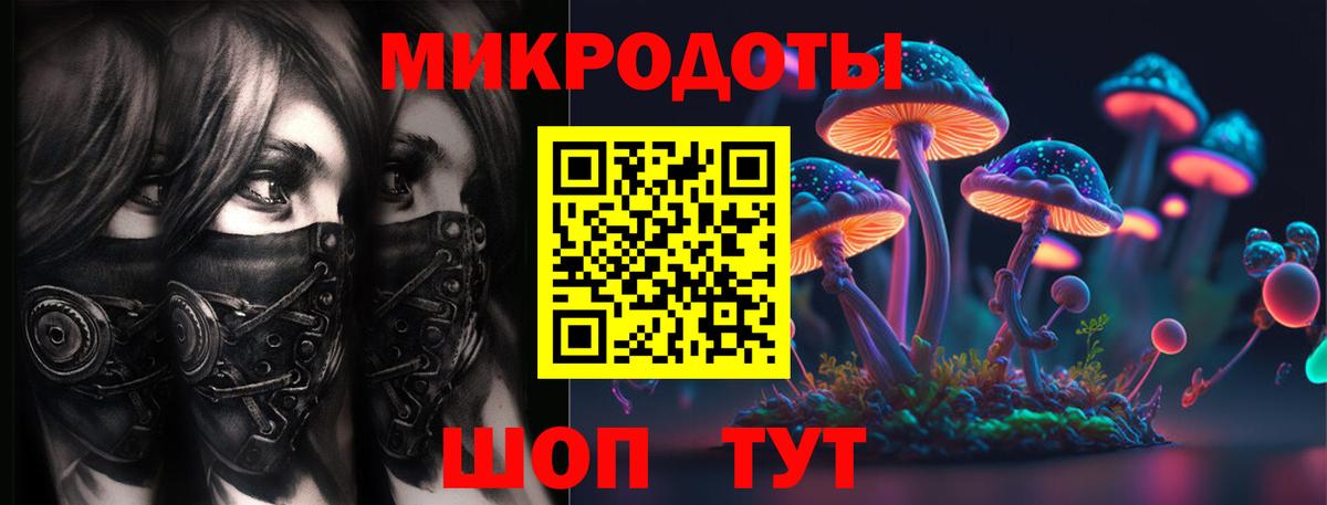 Псилоцибиновые грибы Cubensis  Вход с VPN  Галлюциногенные грибы мицелий  Сертолово 
