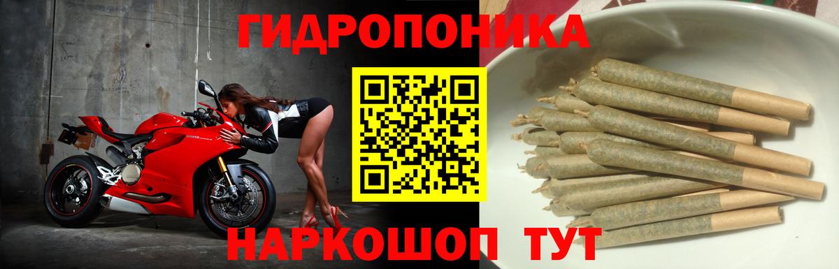 МАРИХУАНА конопля Сертолово